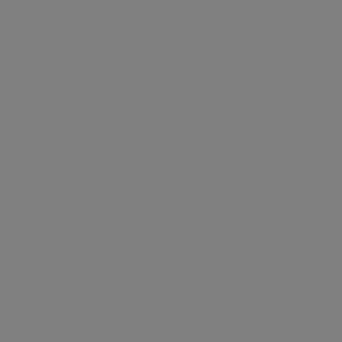 Dupli-Color Dupli-Color Perfect Match Premium Automotive Paint, Phantom Grey Pearl, 8 oz - Outdoor Depot