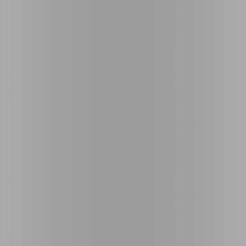 Dupli-Color Dupli-Color Perfect Match Premium Automotive Paint, Silver, 8 oz - Outdoor Depot