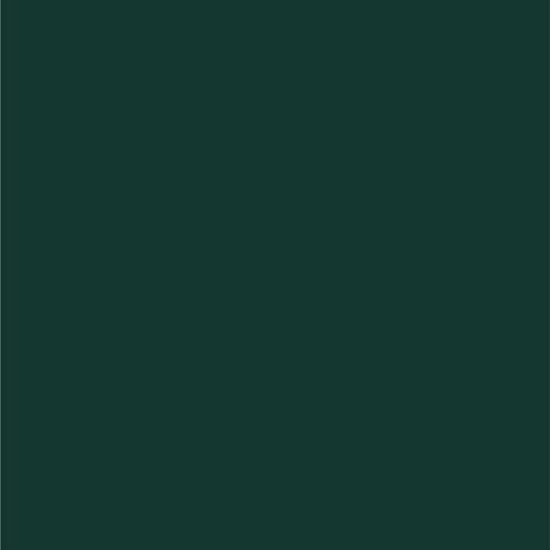 Dupli-Color Dupli-Color Perfect Match Premium Automotive Paint, Amazon Green (M), 8 oz - Outdoor Depot