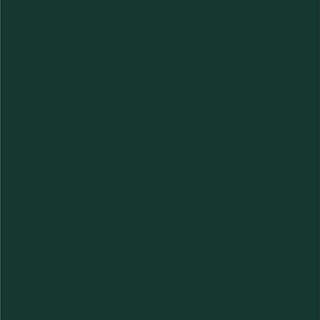 Dupli-Color Dupli-Color Perfect Match Premium Automotive Paint, Amazon Green (M), 8 oz - Outdoor Depot