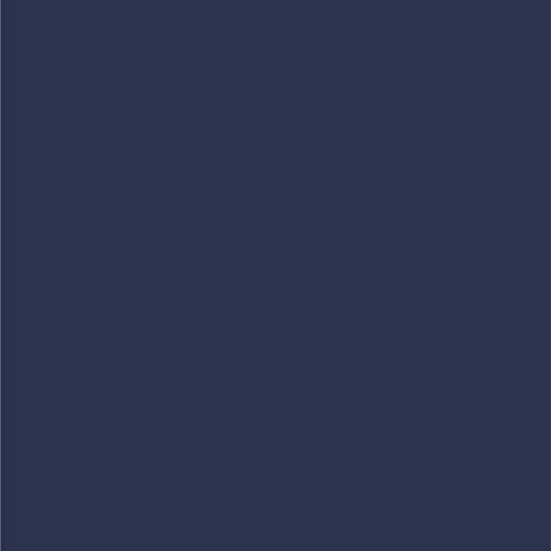Dupli-Color Dupli-Color Perfect Match Premium Automotive Paint, Medium Wedgewood (M), 8 oz - Outdoor Depot