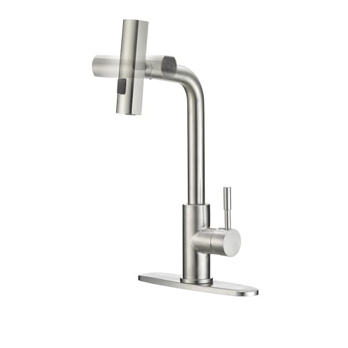 Dura Faucet Dura Faucet (DF-MK511X-SN) Rainfall RV Kitchen Faucet – Satin Nickel, Dual-Mode Rotating Spray - Outdoor Depot