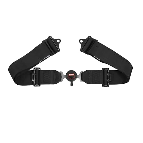 RaceQuip RaceQuip 741001RQP 5 Point Harness Sportsman Camlock SFI 16.1 Pull Down Adjust Bolt-On/Wrap Around - Outdoor Depot