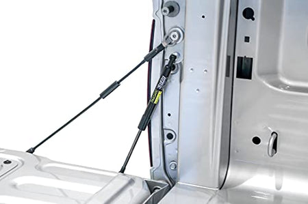 DEE ZEE DEE ZEE DZ43301 Truck Tailgate Assist - Outdoor Depot