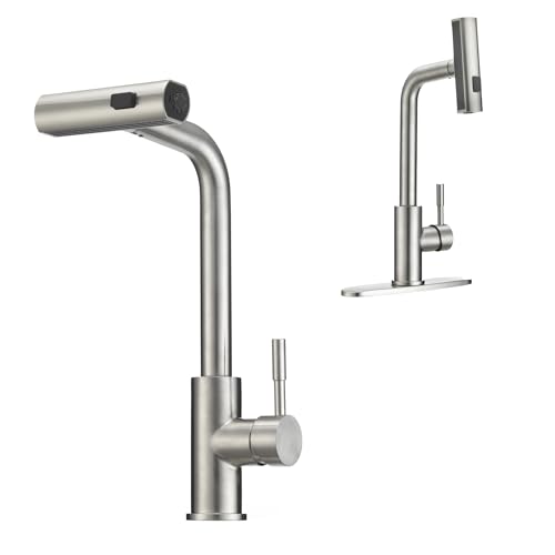 Dura Faucet Dura Faucet (DF-MK511X-SN) Rainfall RV Kitchen Faucet – Satin Nickel, Dual-Mode Rotating Spray - Outdoor Depot