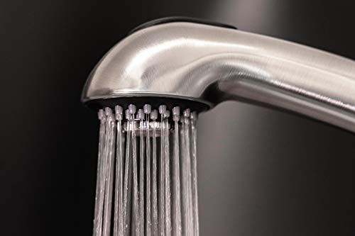 Dura Faucet Dura Faucet RV Kitchen Faucet Designer Toggling Pull-Out Sprayer Replacement Faucets Only - Outdoor Depot