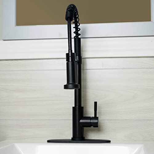 Empire Faucets Empire Faucets SP5000BMT-A Single Lever Spring Faucet with Hi-Arc Coiled Spout, Hammer Style - Outdoor Depot