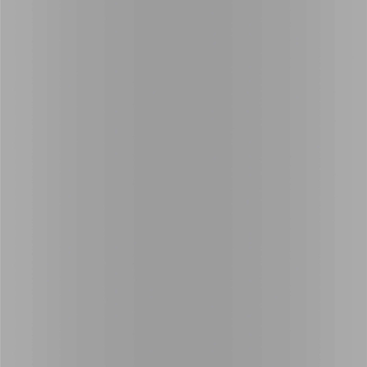 Dupli-Color Dupli-Color Perfect Match Premium Automotive Paint, Silver, 8 oz - Outdoor Depot