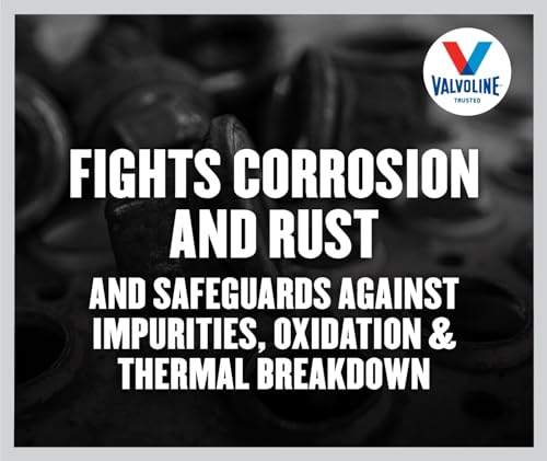 Valvoline Valvoline Daily Protection 85W-140 Gear Oil 1 Quart - Outdoor Depot