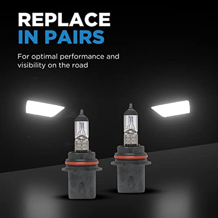 Champion Wagner Lighting 9005 Standard Multi-Purpose Light Bulb Box of 1 - Outdoor Depot