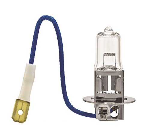 HELLA H3 100W High Wattage Bulb, 12V