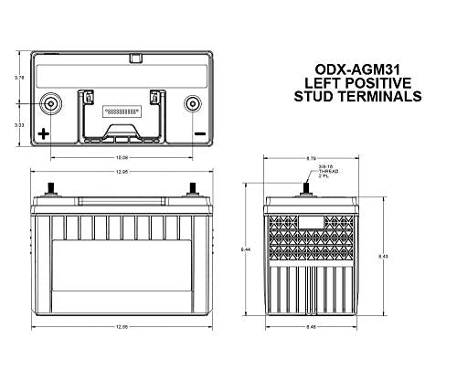 ODYSSEY Odyssey Battery ODX-AGM31 Extreme Series AGM Battery - Outdoor Depot