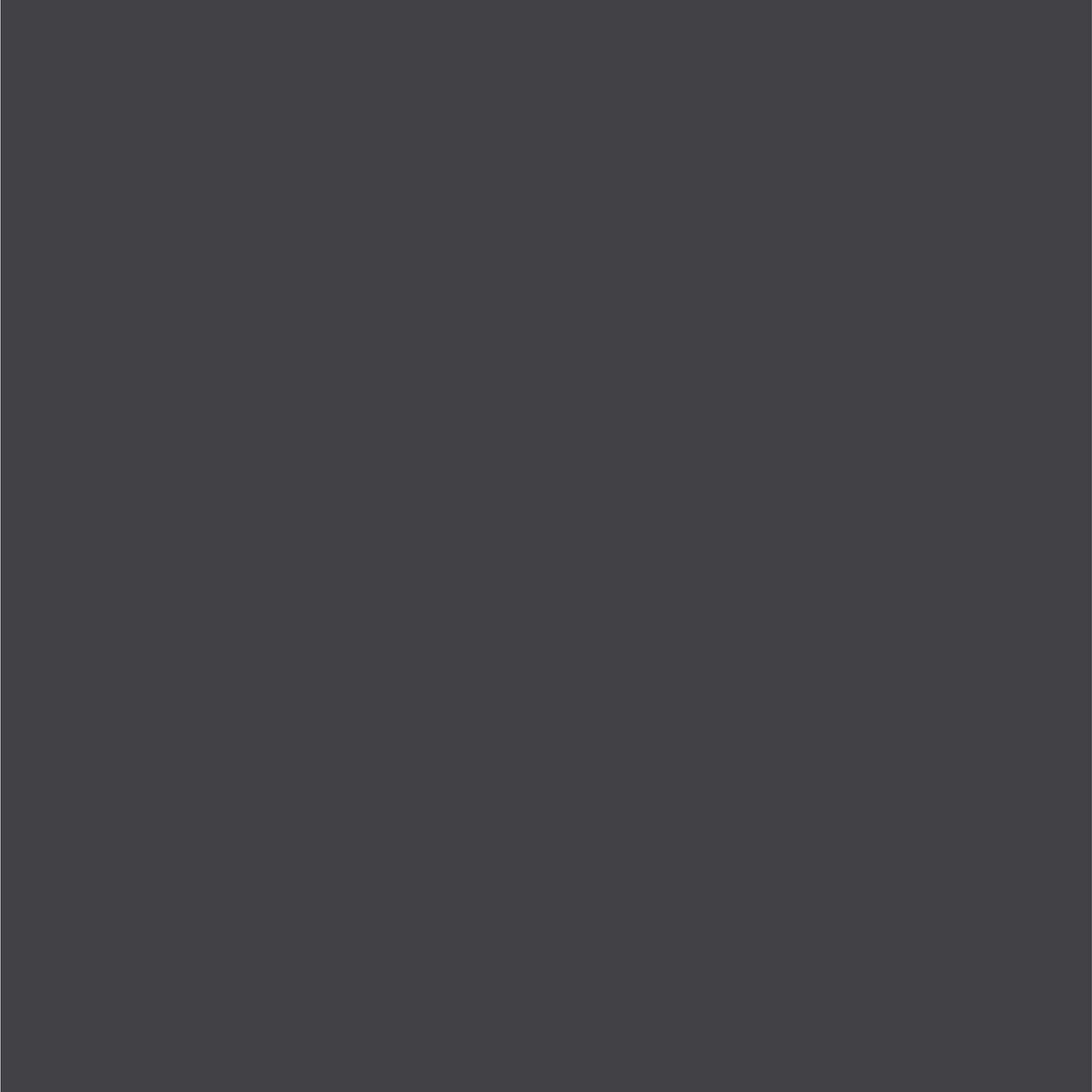 Dupli-Color Dupli-Color Perfect Match Premium Automotive Paint, Graphite (M), 8 oz - Outdoor Depot