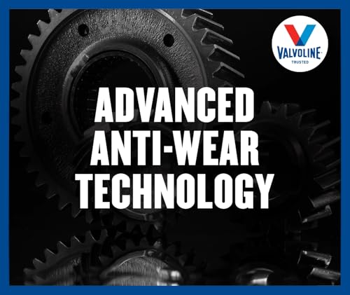 Valvoline Valvoline Dual Clutch Transmission Fluid 1 Quart - Outdoor Depot