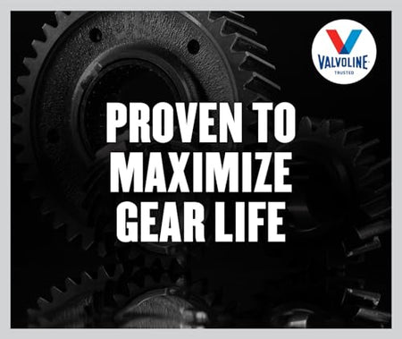 Valvoline Valvoline Daily Protection 75W-90 Gear Oil 1 Quart - Outdoor Depot