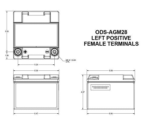 ODYSSEY Odyssey Battery ODS-AGM28 Extreme Series AGM Battery - Outdoor Depot