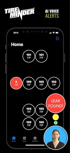 TireMinder TireMinder Smart TPMS with 4 Transmitters for RVs, MotorHomes, 5th Wheels, Motor Coaches and - Outdoor Depot