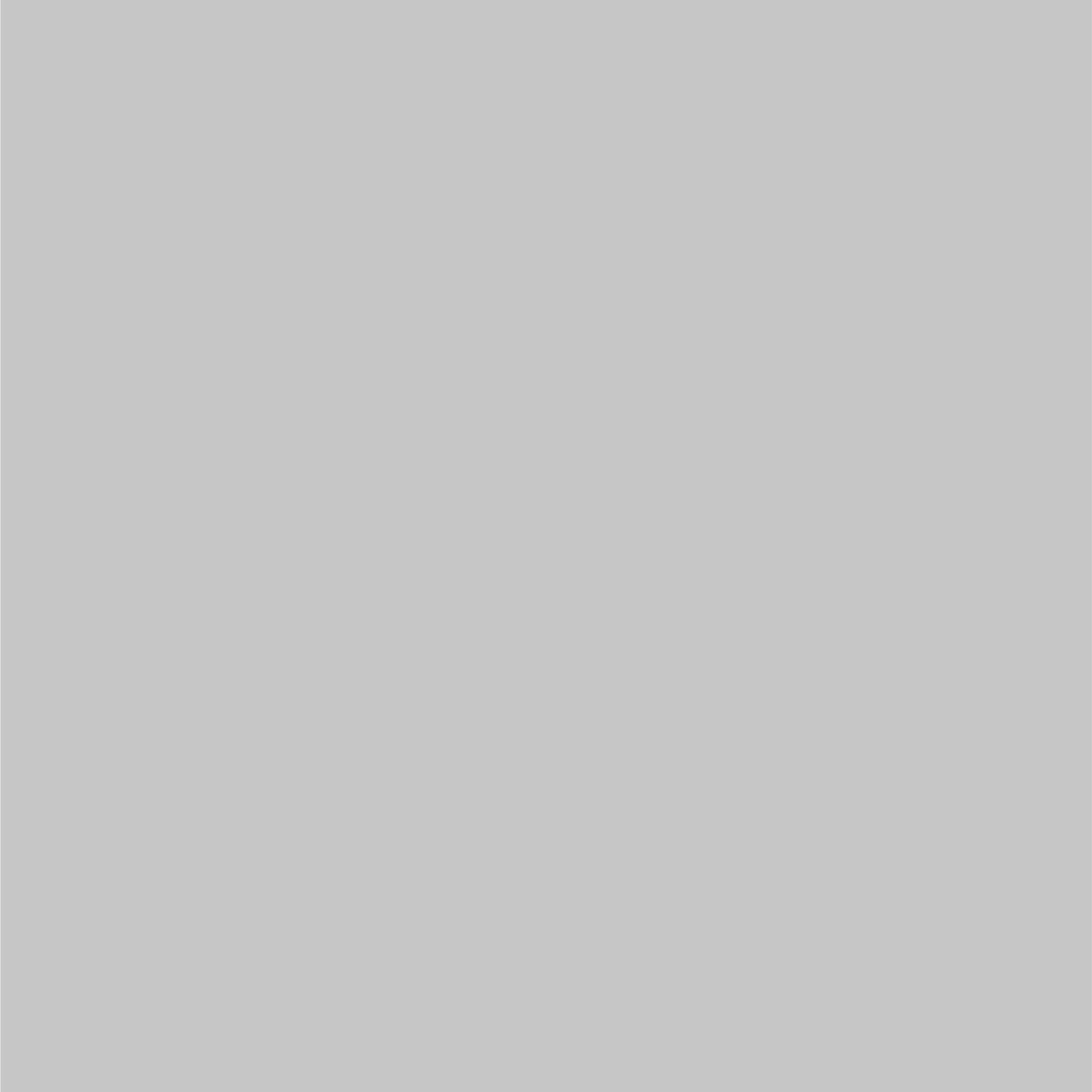 Dupli-Color Dupli-Color Perfect Match Premium Automotive Paint, Silver Charcoal (M), 8 oz - Outdoor Depot