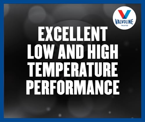 Valvoline Valvoline Dual Clutch Transmission Fluid 1 Quart - Outdoor Depot