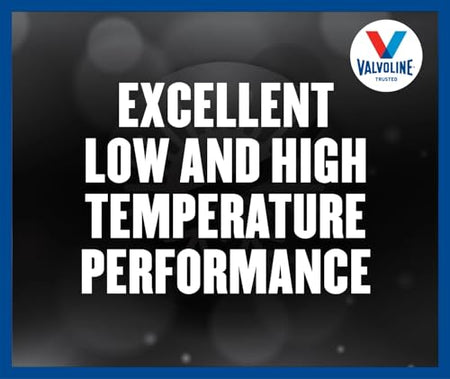 Valvoline Valvoline Dual Clutch Transmission Fluid 1 Quart - Outdoor Depot