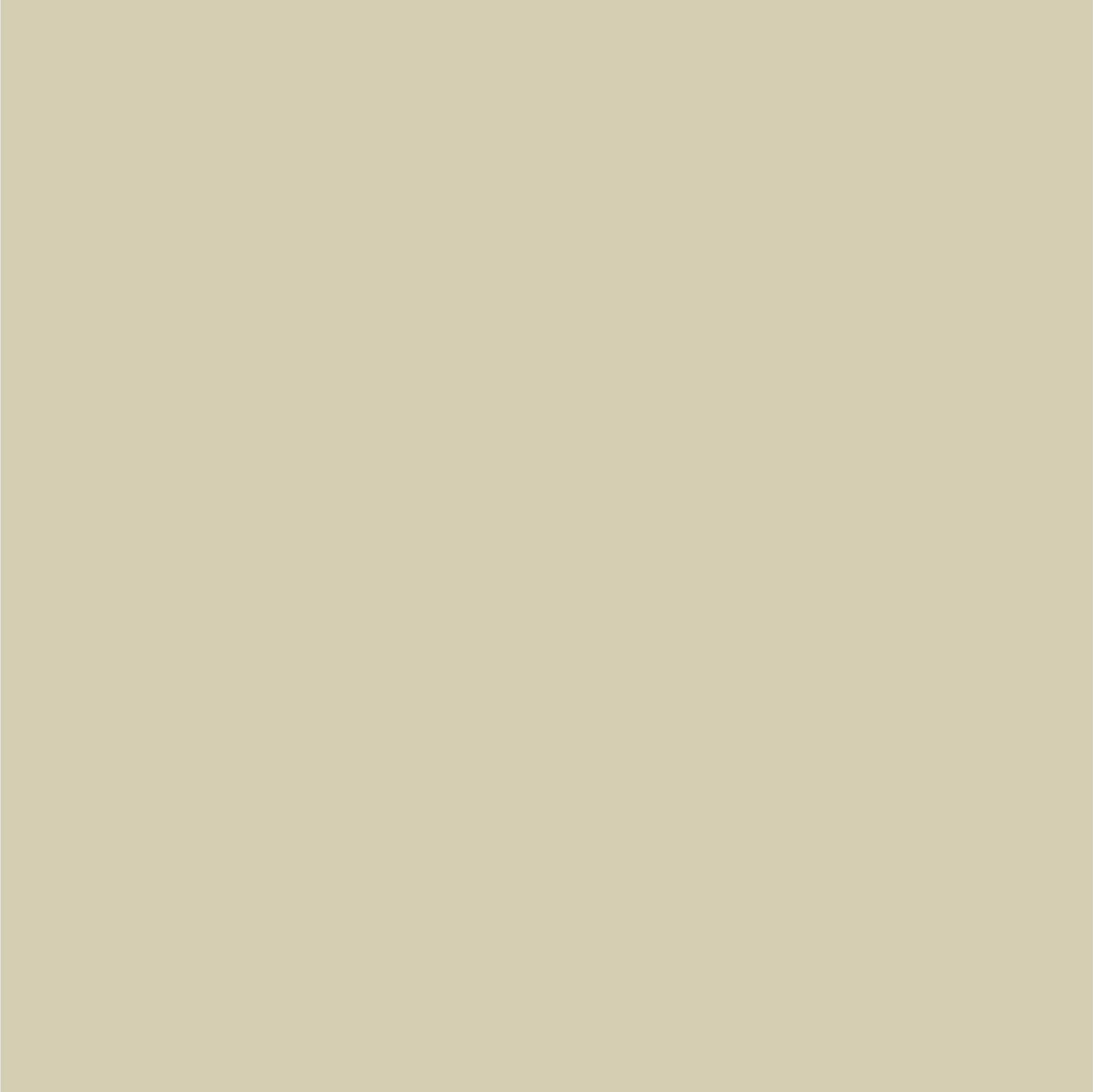 Dupli-Color Dupli-Color Perfect Match Premium Automotive Paint, Champagne Pearl, 8 oz - Outdoor Depot