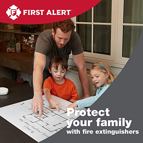 First Alert First Alert Fire Extinguisher for Car & Marine Use, UL RATED 10-B:C, AUTOMAR10 FE10GR, White, - Outdoor Depot