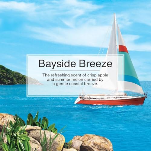 LITTLE TREES CAR FRESHNER Bayside Breeze Little Trees Air Freshener - Outdoor Depot