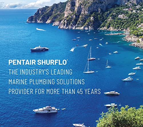 SHURFLO PENTAIR SHURFLO 255-323 Twist-On Water Strainer, 1/2" Barb Inlet, 1/2" NPSM Outlet - Outdoor Depot