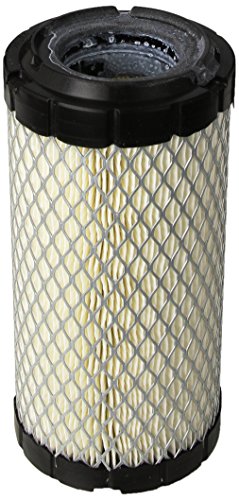Cummins CUMMINS NW Cummins (1403071) 10/12 kW Quiet Diesel Air Filter - Outdoor Depot