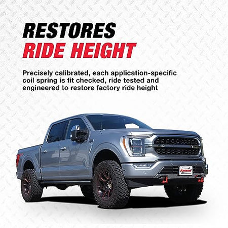 Rancho Rancho RS5000X Loaded RS551830 Suspension Strut and Coil Spring Assembly - Outdoor Depot