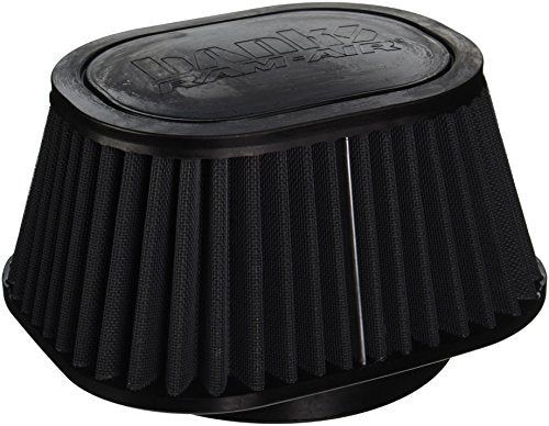 Banks 42138D Air Filter