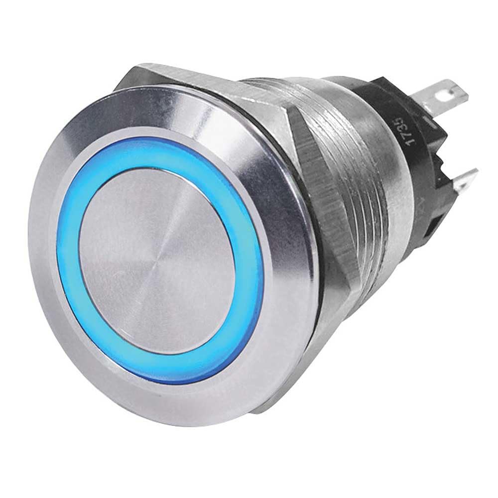 ICON ICON 12491 Plug, 1/2" MPT - Outdoor Depot