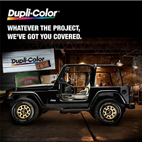 Dupli-Color Dupli-Color Multi-Purpose Lacquer, Semi-Gloss, Black, 12 oz - Outdoor Depot