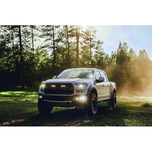 RIGID D-SERIES PRO SPOT SM /2 - Outdoor Depot
