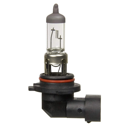 Champion Wagner Lighting 9006 Standard Multi-Purpose Light Bulb Box of 1 - Outdoor Depot