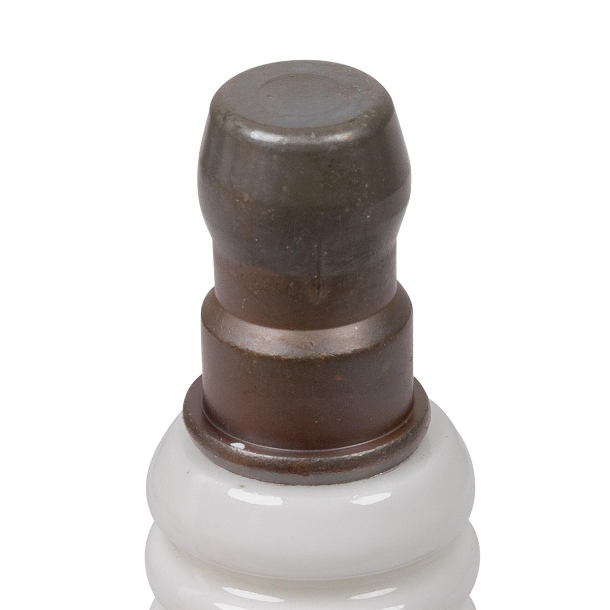 Valterra Valterra P23415LF 1/2" Lead-Free Check Valve - Outdoor Depot