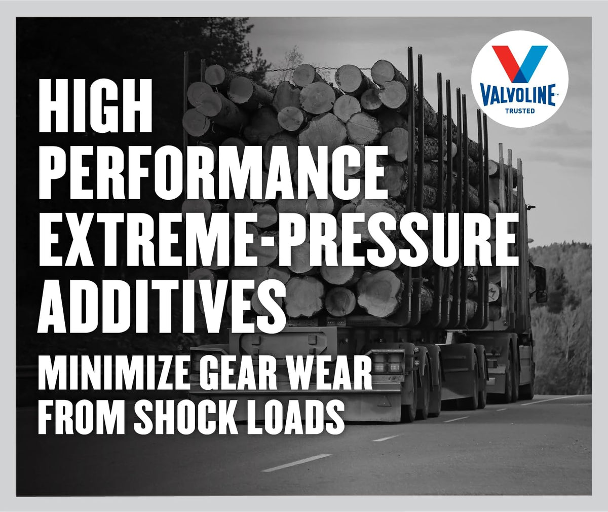 Valvoline Valvoline Daily Protection 75W-90 Gear Oil 1 Quart - Outdoor Depot