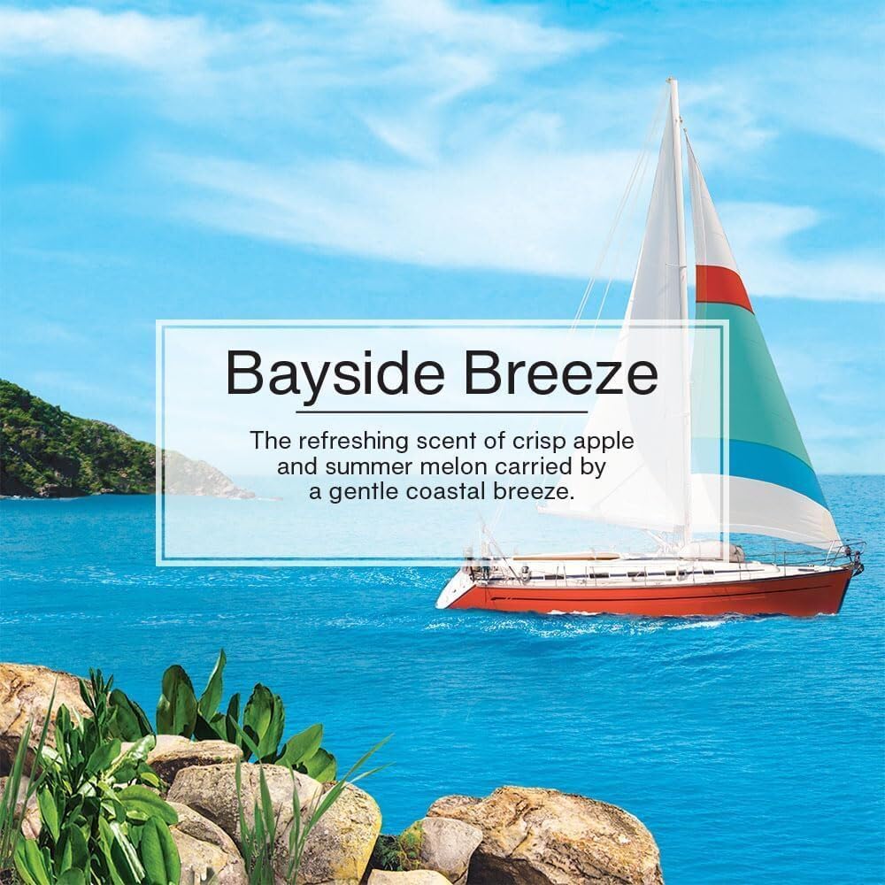 LITTLE TREES CAR FRESHNER Bayside Breeze Little Trees Air Freshener - Outdoor Depot