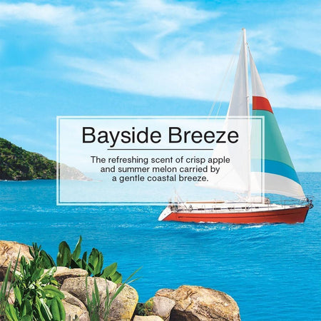 LITTLE TREES CAR FRESHNER Bayside Breeze Little Trees Air Freshener - Outdoor Depot