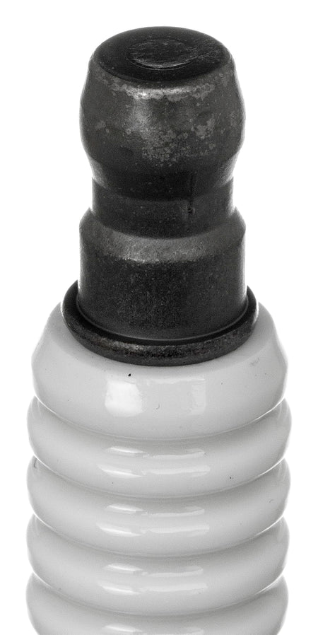 AP Products AP Products 024-1001 Propane Tank Gas Level Indicator , Black - Outdoor Depot
