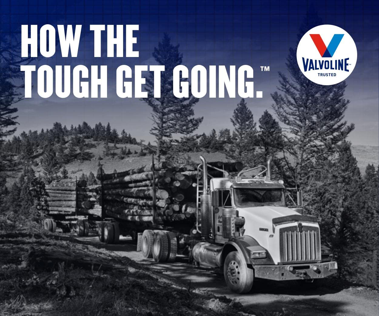 Valvoline Valvoline Premium Blue One Solution SAE 15W-40 Diesel Engine Oil 1 GA - Outdoor Depot