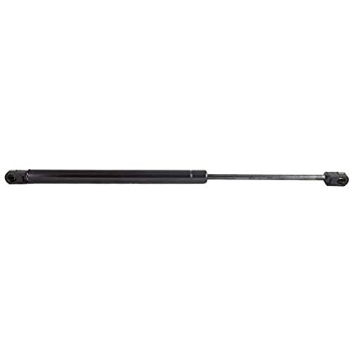 AP PRODUCTS 010609 GAS PROP 19.69' EXTENDE