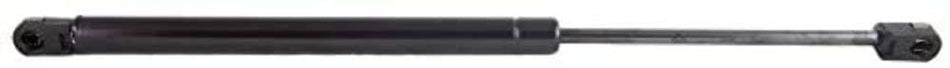 AP PRODUCTS 010609 GAS PROP 19.69' EXTENDE